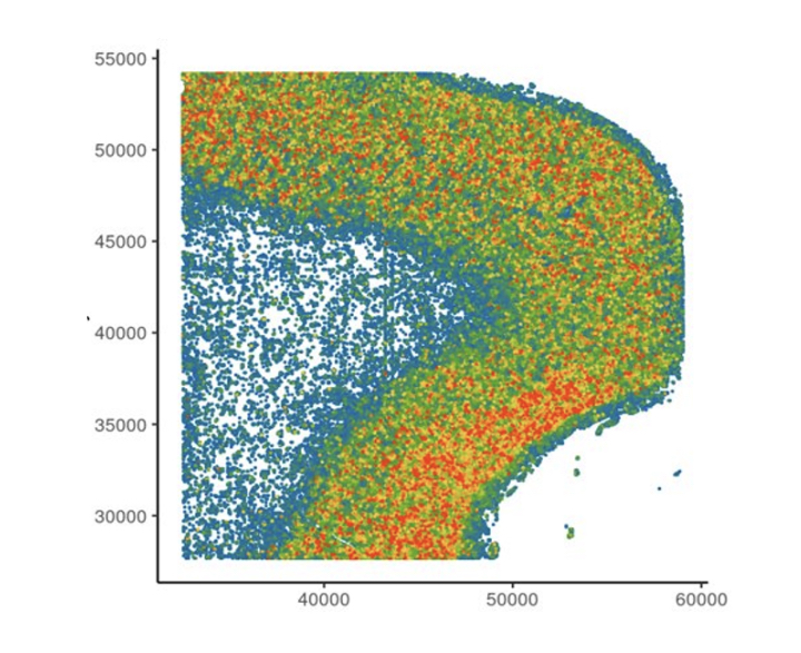 Cellular cluster plot from transcriptomics data
